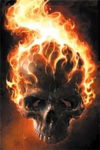 flameingskulls