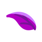 Elder
