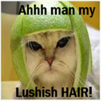 My HAIR! Roblox decal