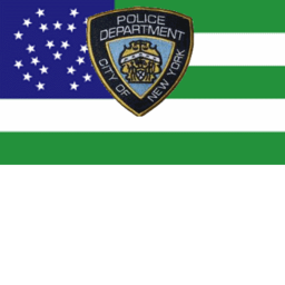 NYPD Training Camp