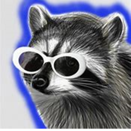 Rat's and Raccoon's: Our City