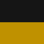 •·∙Erste Armeekorps∙·•