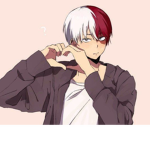 NASH FAM/TODOROKI CULT