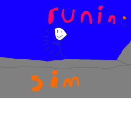runing sim
