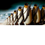 Friendssss and more for penguin_cutie101