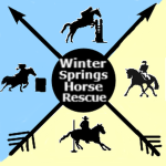 ~Winter Springs Horse Rescue~