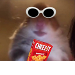 Cheese for rats : )