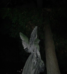 fallxnangels