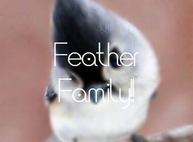 Feather Family!