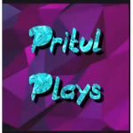 Pritul Plays