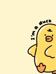 Evelyn's duck studios