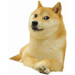 DOGE REVALUTION