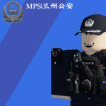 [公安 警衔]