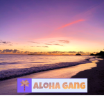 Aloha Gang