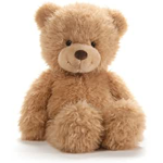 Teddy fashion
