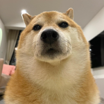 trоΙΙ