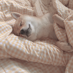 ',:]