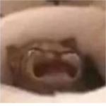 Horrorsome