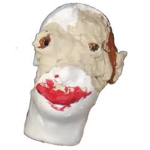 vVVoidSoldieRRv