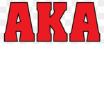 { A K A } American Kickboxing Academy