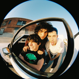 Wallows