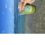 Playa Social Club