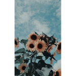 ~Ariana's Garden~