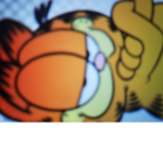 TEAM GARFIELD!!