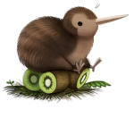 THE KIWI HANGOUT