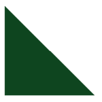 Triangle Train