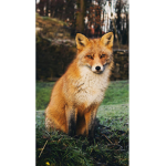 #DeFoxSquad