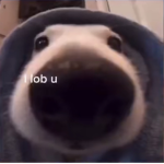 ~* Tik Tok ;] *~
