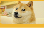 Doge....