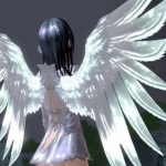 --//RTSL\\--