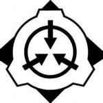 S.C.P FOUNDATION Secure. Contain Protect
