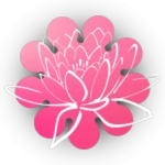 Blossom Studio's!