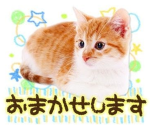Chisai's sweet shop