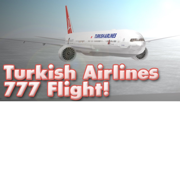 THY Airlines