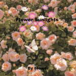 •Flower Sunlights•
