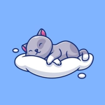 WildPaws