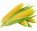 TheCornGanG