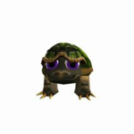The TeamTurtle Hangout
