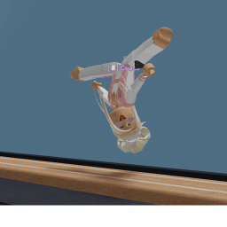Open Sky Gymnastics academy