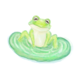 神蛙の縁結び神