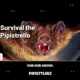 Survival The Pipistrellos