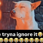 A n0rmal gameGroup