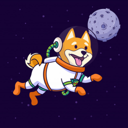 dog space