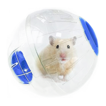 [HAMSTERBALL UPDATE] Live One Day As A Hamster