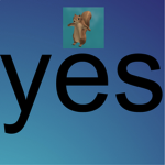 squirrel productions.