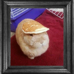Boopeanuts Association